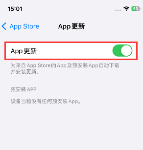 麦积苹果15维修中心如何让iPhone15APP自动更新